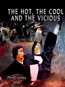 电影《 南拳北腿活阎王 》 影评、评论 - PPTV电