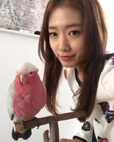 资讯《明星八卦-朴信惠与粉色鹦鹉合照 素颜仍